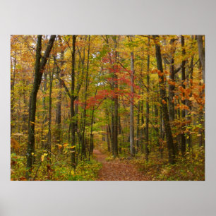 Póster Laurel Hill Trail em Queda