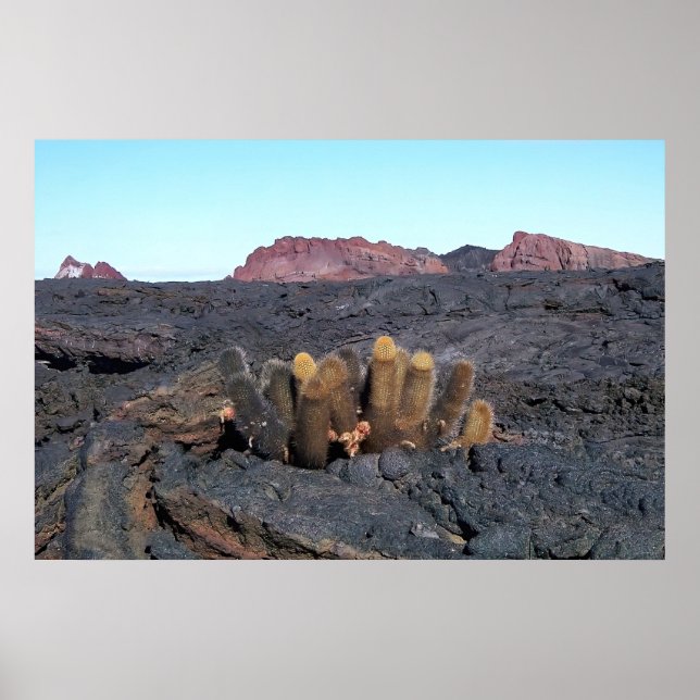 Poster Lava Cactos (Frente)