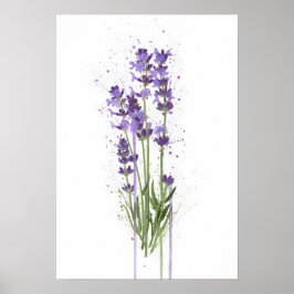 Poster Lavanda