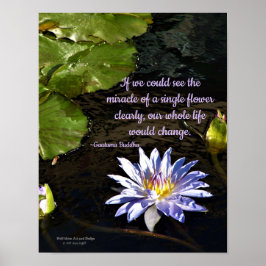 Poster Lavanda Amarelo Centro-Amarelo Água Flor