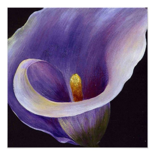 Póster Lavanda Calla Lily (Frente)