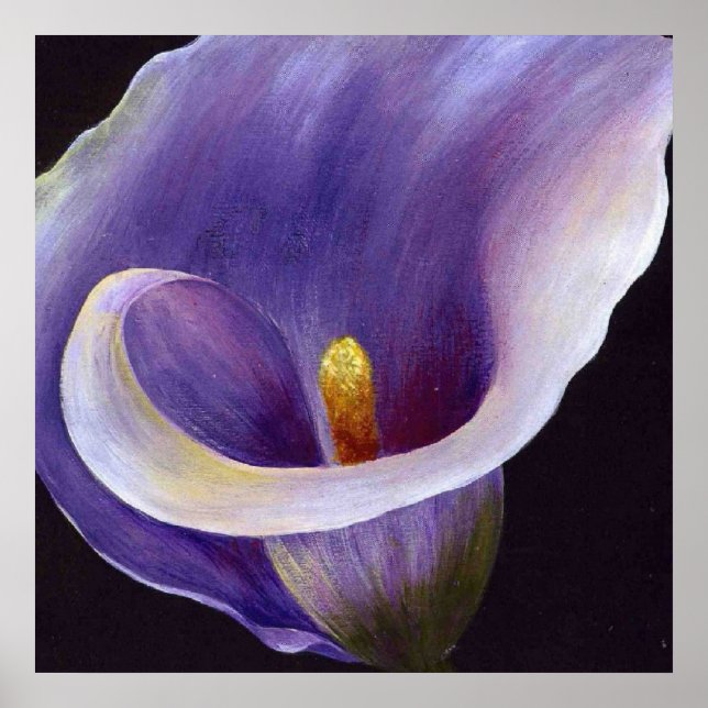 Póster Lavanda Calla Lily (Frente)