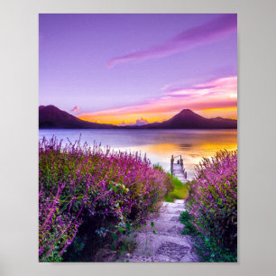 Poster Lavanda Campo Sunset