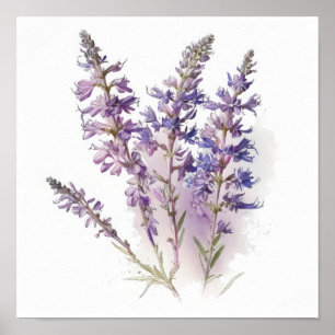 Poster lavanda de Arte Flor de Larkspur