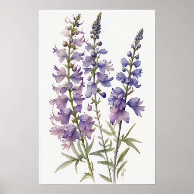 Poster lavanda de Arte Flor de Larkspur (Frente)