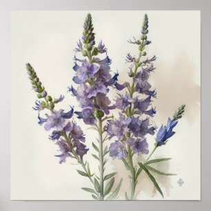Poster lavanda de Arte Flor de Larkspur