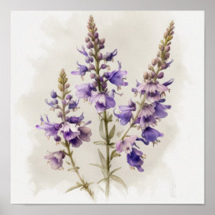 Poster lavanda de Arte Flor de Larkspur