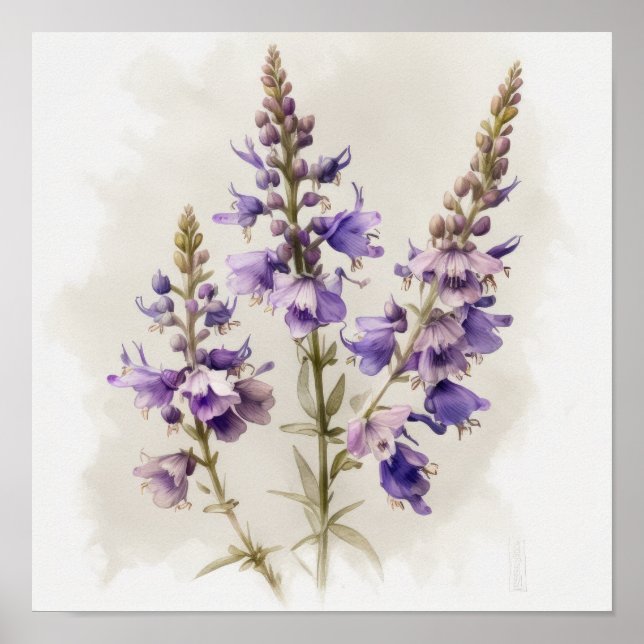 Poster lavanda de Arte Flor de Larkspur (Frente)
