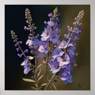 Poster lavanda de Arte Flor de Larkspur