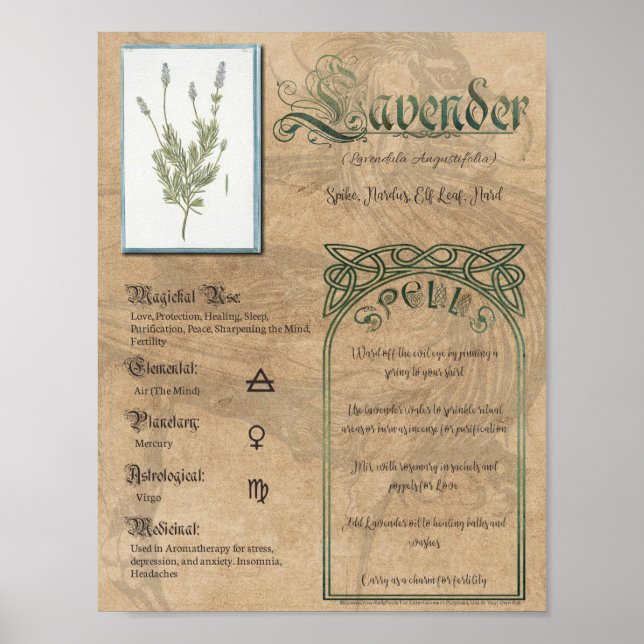Poster Lavanda Herbal Book of Shadows Pagan Wiccan (Frente)