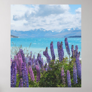 Poster lavanda na costa do lago