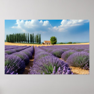 Poster Lavanda Natureza Ao Ar Livre Paisagem Calma Pacífi