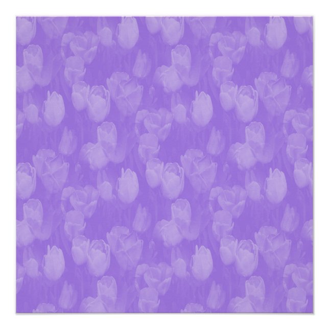 Póster Lavanda no Amor.... (Frente)