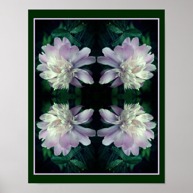 Poster Lavanda Peony Flower In BloAbstrato (Frente)