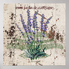 Poster Lavanda sobre o painel de madeira rústica