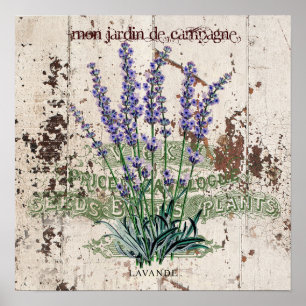 Poster Lavanda sobre o painel de madeira rústica