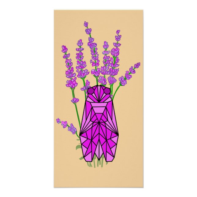 Póster Lavande et cigale en Provence (Frente)