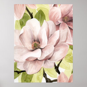 Poster Lave as flores da Magnolia