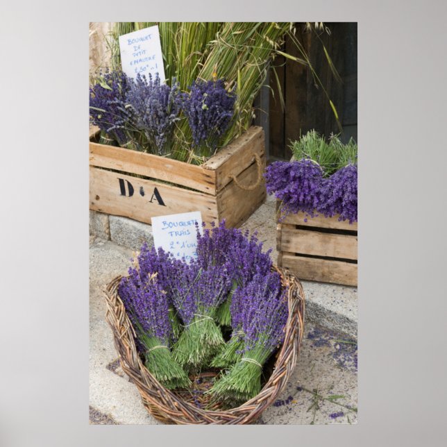 Póster Lavendar para venda, Provence, França (Frente)