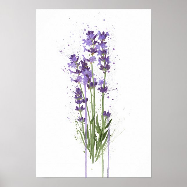 Poster Lavender (Frente)