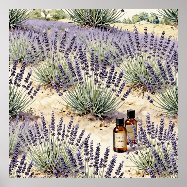 Poster Lavender Field Essential Oil Watercolor Pattern (Frente)