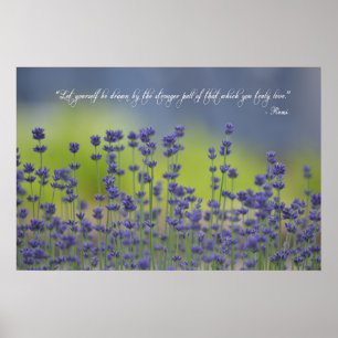 Póster Lavender with Quote