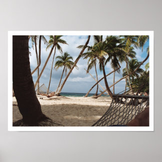 Poster Lazy Palm Tree Days