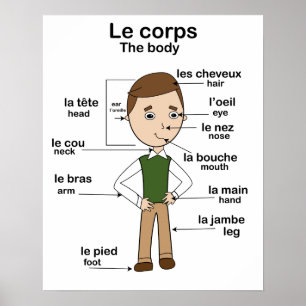 Poster Le corps o corpo francês English Educational