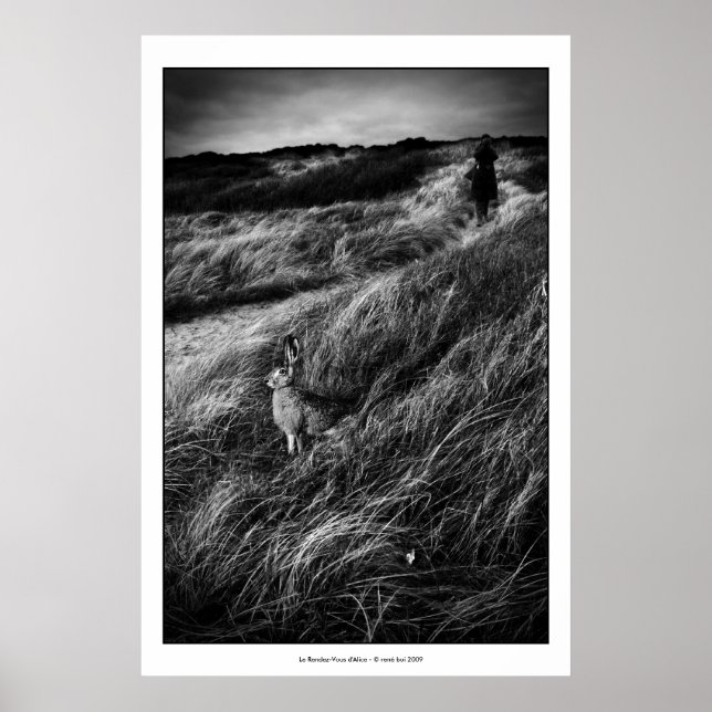 Poster Le Rendez-vous d'Alice Wonderland fotografia de ar (Frente)