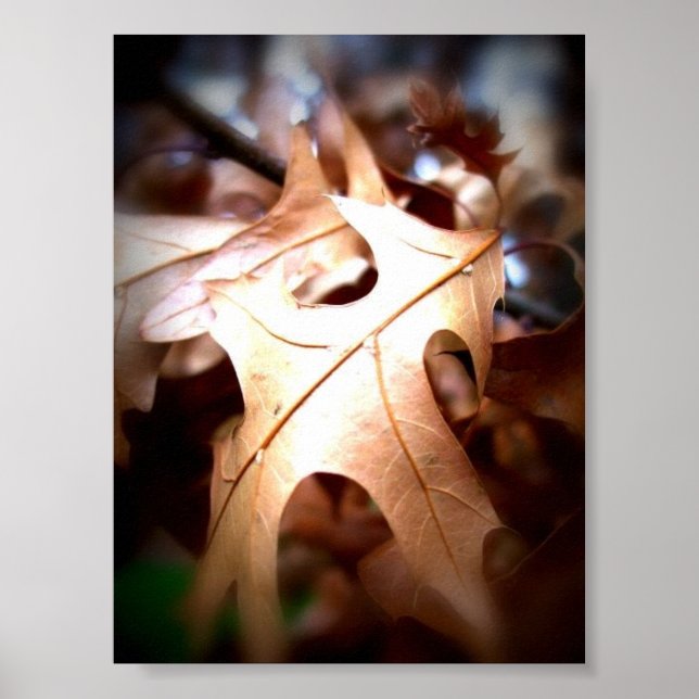 Póster Leaf... (Frente)