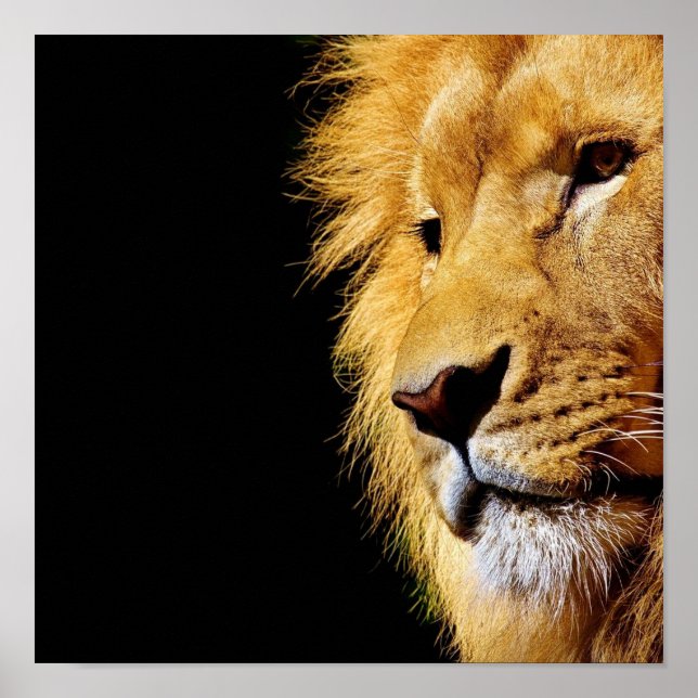 Poster Leão (Frente)