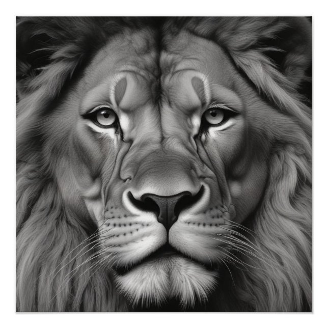 Póster Leão (Frente)