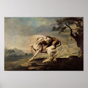 Póster Leão Atacando um Cavalo