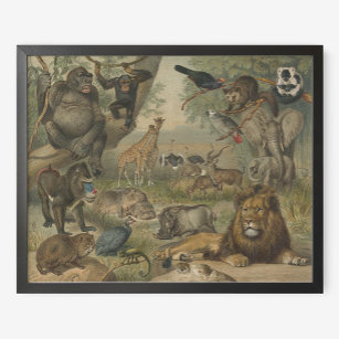 Poster Leão e Amigos Animais na África