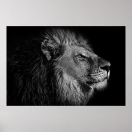 Poster Leão em preto e branco