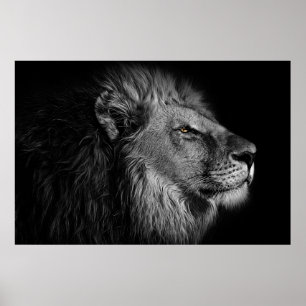 Poster Leão em preto e branco