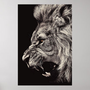 Poster Leão Masculino Irritado