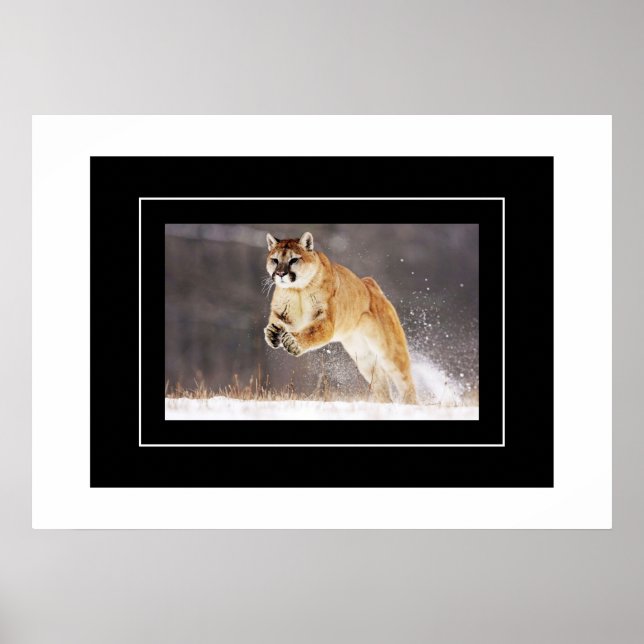 Poster Leão poster-Montanha (Frente)