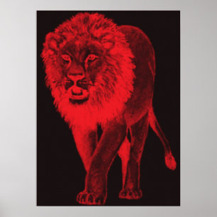 Poster Leão vermelho do fulgor