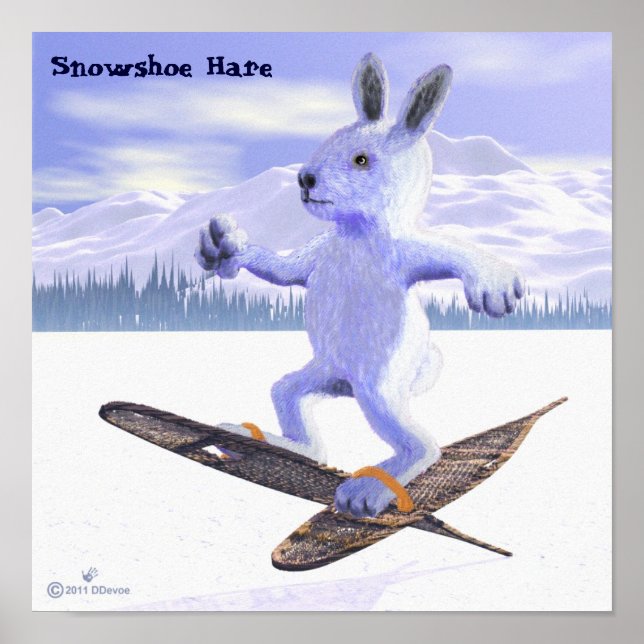 Poster Lebre-de-neve (Frente)