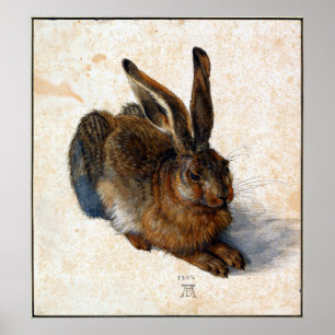 Póster Lebre dos jovens de Albrecht Durer