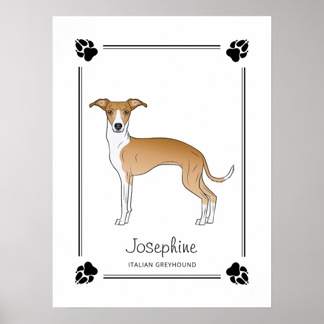 Poster Lebre e Italiano cinza Branco Com Patas e Texto (Frente)