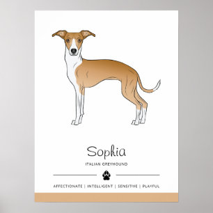 Poster Lebre e Italiano Greyhound Branco Com Texto Person