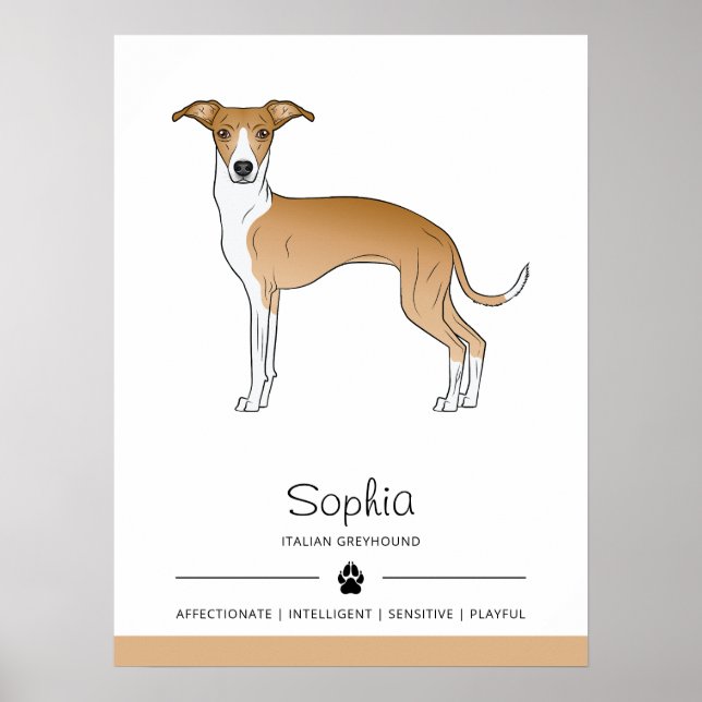 Poster Lebre e Italiano Greyhound Branco Com Texto Person (Frente)