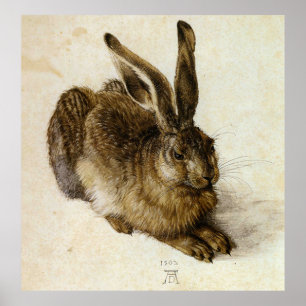 Póster Lebre nova do `' por Albrecht Dürer