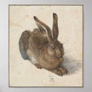 Póster Lebre nova por Albrecht Durer