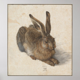 Póster Lebre nova por Albrecht Durer