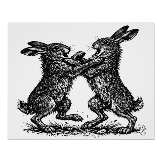 Póster Lebres Boxeando – Duelo Assombrado da Floresta de  (Frente)