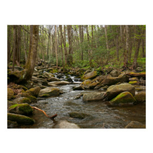 Póster LeConte Creek em Great Smoky Mountains