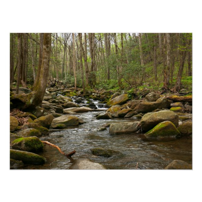 Póster LeConte Creek em Great Smoky Mountains (Frente)